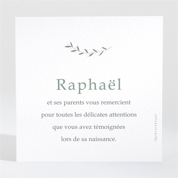 Remerciement naissance Grand Frère réf.N3001664