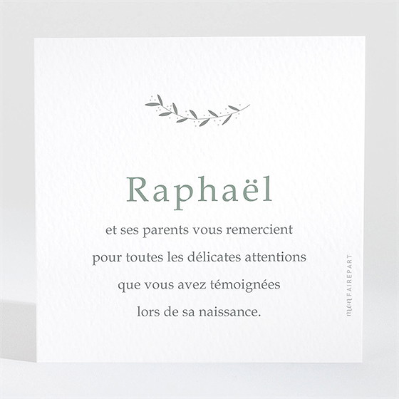 Remerciement naissance grand frère