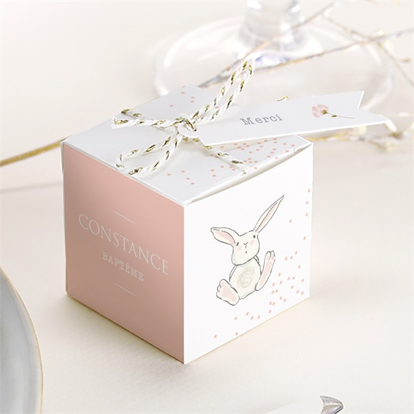 Boîte de dragées baptême Petit Lapin Baptême réf.N340340