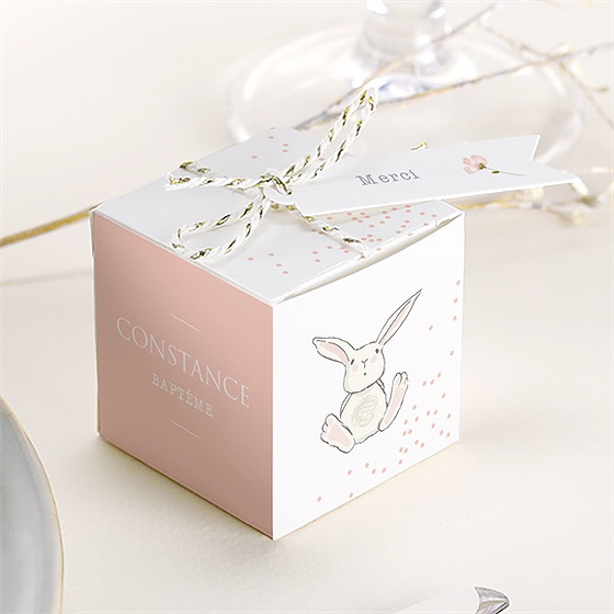 Boîte de dragées baptême petit lapin baptême