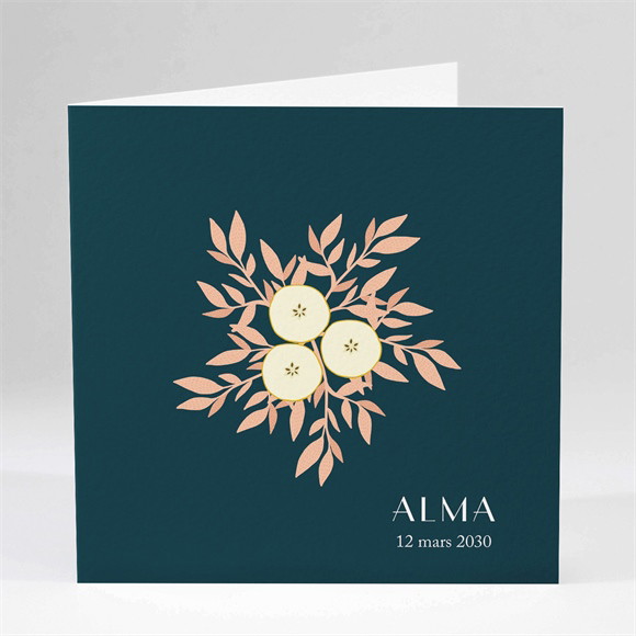 Faire-part naissance Elégant Eclat réf.N451209