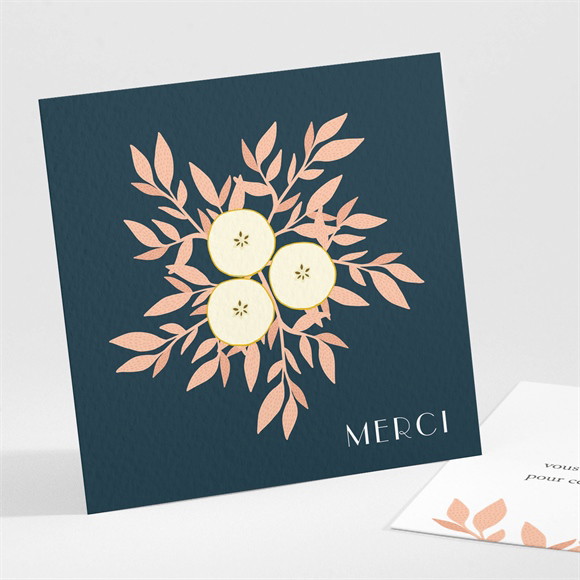 Remerciement naissance Elégant Eclat réf.N301267