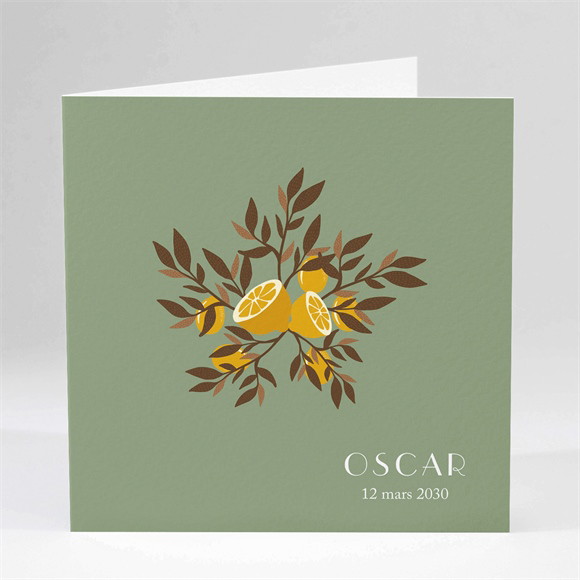 Faire-part naissance Valse Citronnée réf.N451210