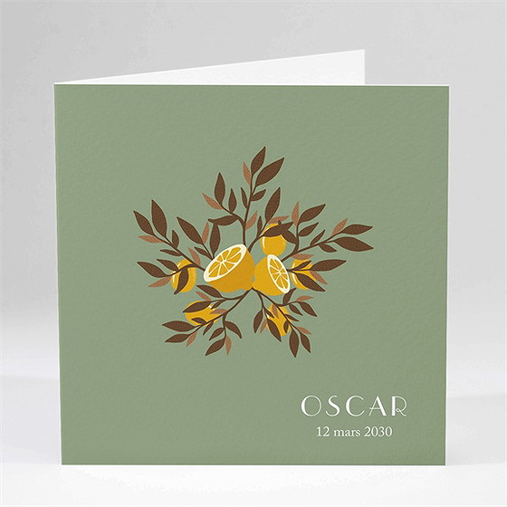 Faire-part naissance valse citronnée