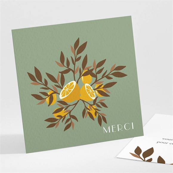 Remerciement naissance Valse Citronnée réf.N301269