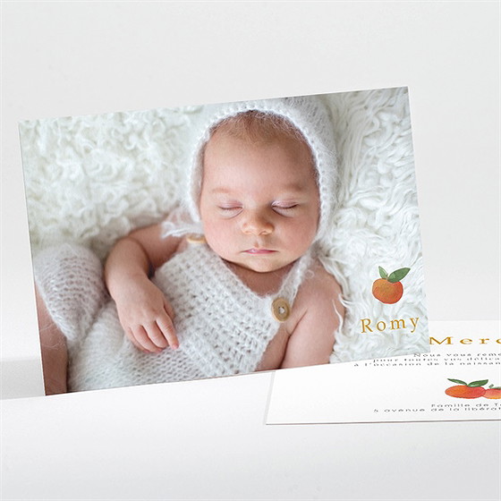 Remerciement naissance petits agrumes