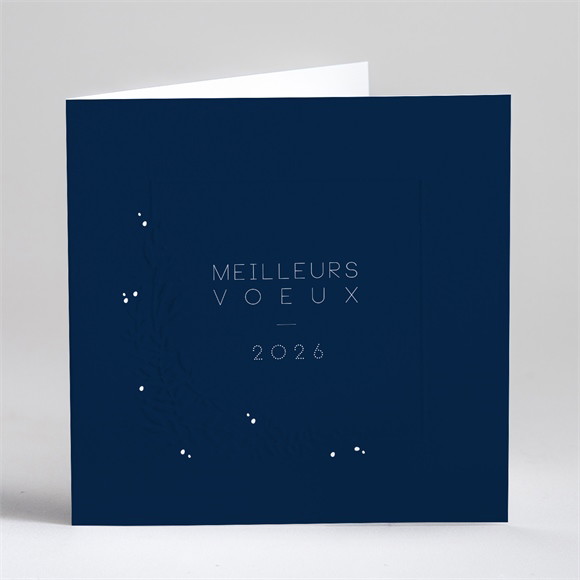 Carte de voeux De blanc vêtu réf.N451222