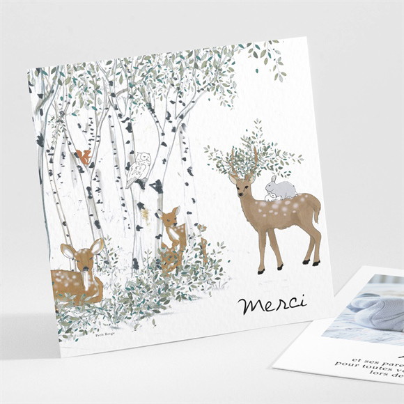 Remerciement naissance A l’orée du bois réf.N301290