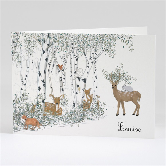 Faire-part naissance Ma petite Clairière réf.N42136