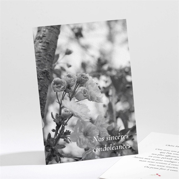 Carte de condoléances décès En image réf.N211353