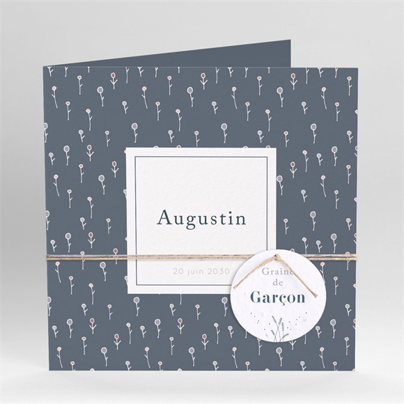 Faire-part naissance Graine de garçon réf.N451245