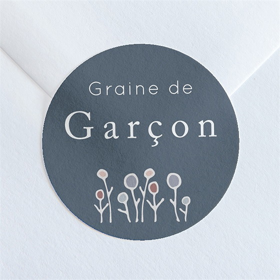 Sticker naissance graine de garçon