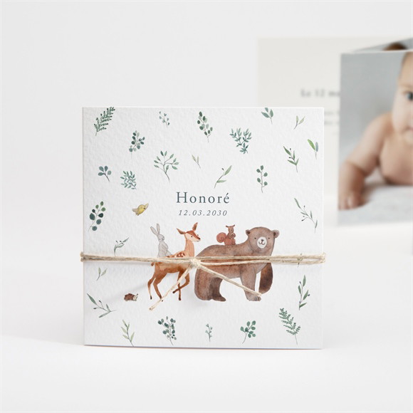 Faire-part naissance La Joyeuse Bande réf.N83143