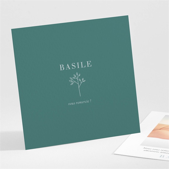 Remerciement naissance Tendre Pousse réf.N301332