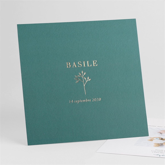 Faire-part naissance Tendre Pousse réf.N351216