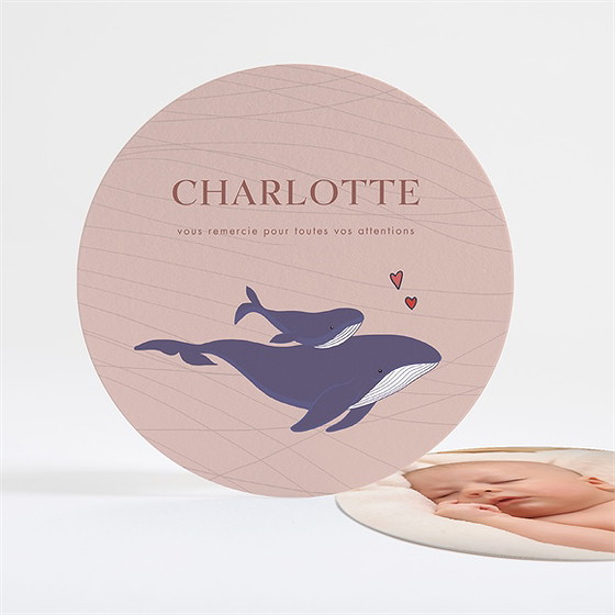 Remerciement naissance jolie baleine