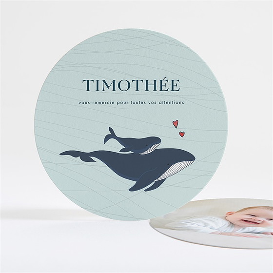 Remerciement naissance mon petit baleineau