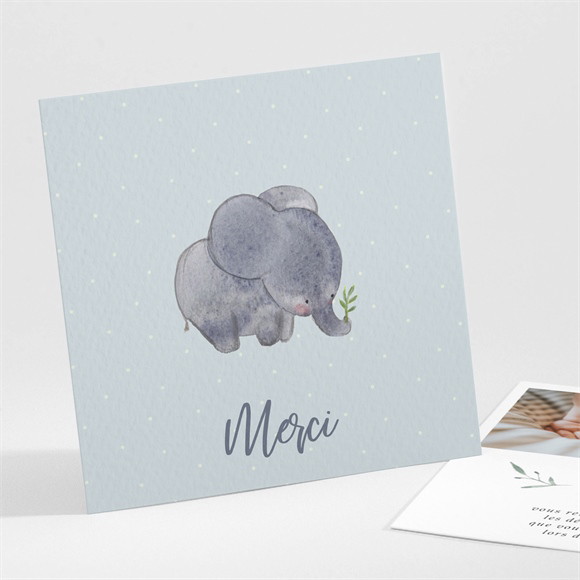 Remerciement naissance Chouchou réf.N301377