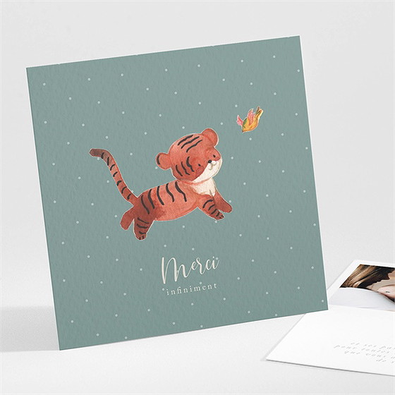 Remerciement naissance petit tigrou