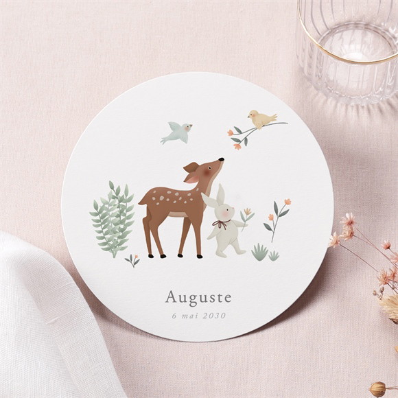 Faire-part naissance Petits Compères réf.N321172