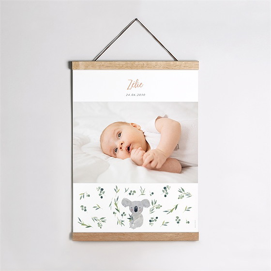 Affiche naissance mon koala