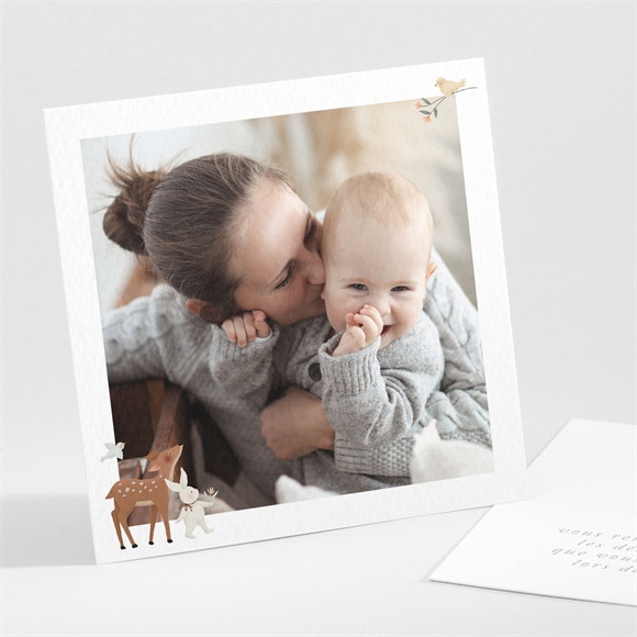 Remerciement naissance Petits Compères réf.N301387