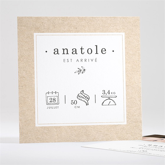 Faire-part naissance signes de douceur