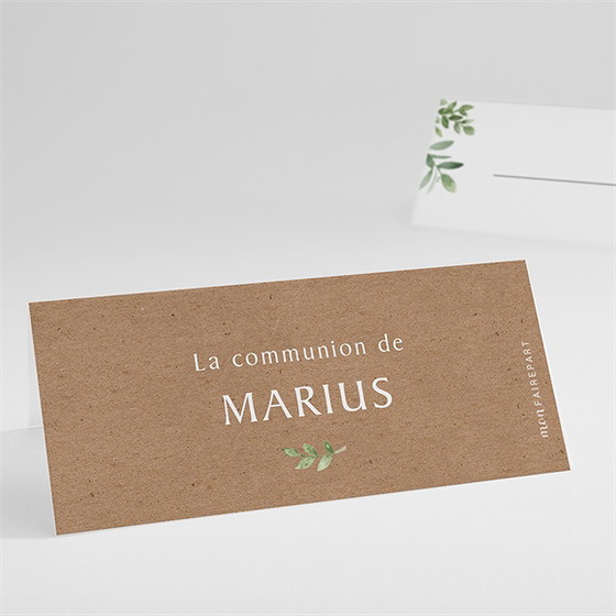 Marque-place communion illustration végétale