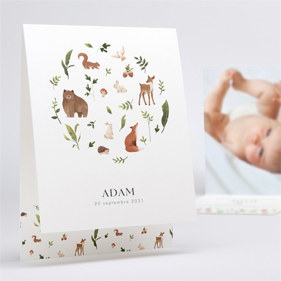 Faire-part naissance Compères réf.N50168