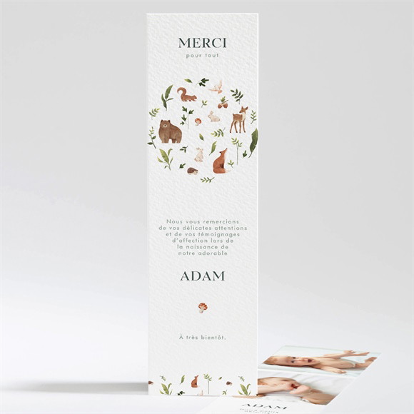 Remerciement naissance Compères réf.N201306