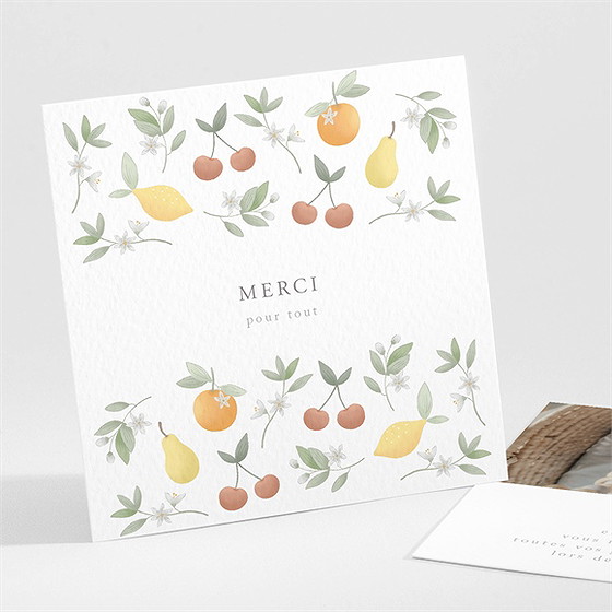 Remerciement naissance poésie d'eté