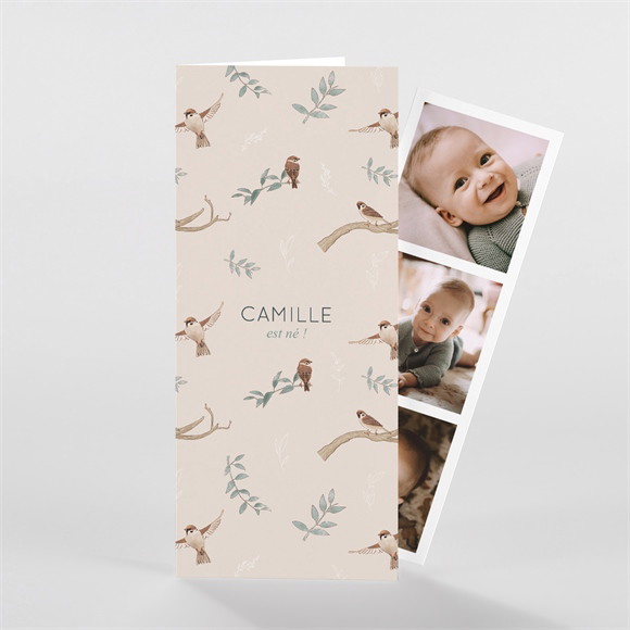 Faire-part naissance Sur un arbre perché réf.N98103