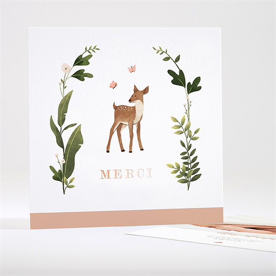 Remerciement naissance tendre eveil