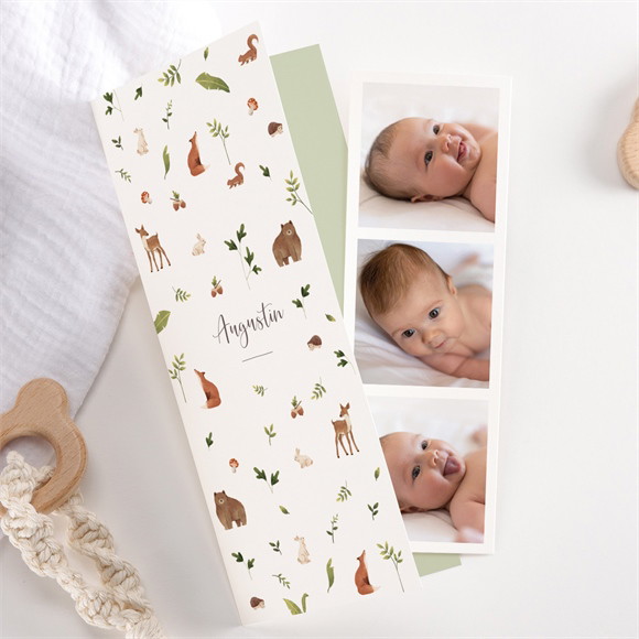 Faire-part naissance Joyeux Compères réf.N98106