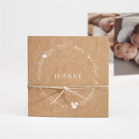 Faire-part naissance Faire-part Enveloppe accordéon réf.N83168