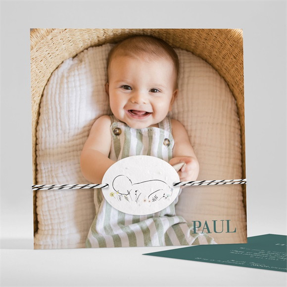 Faire-part naissance Menthe carré réf.N351326