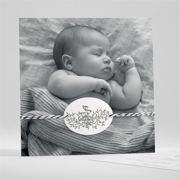 Faire-part naissance Mes petits pictos ensemencée réf.N351328