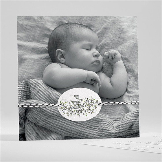 Faire-part naissance mes petits pictos ensemencée