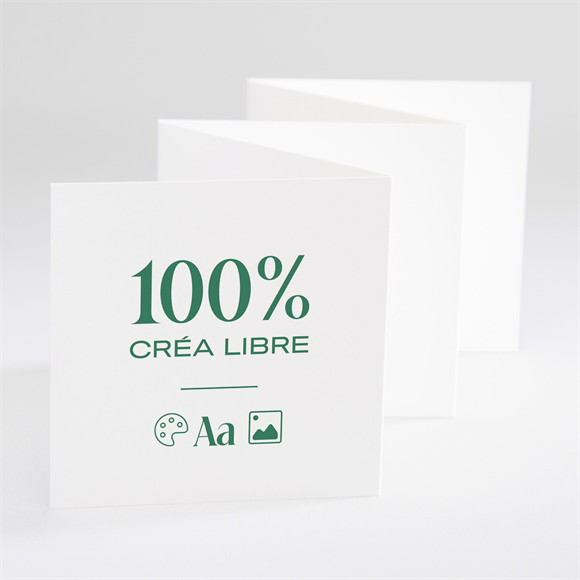 Faire-part naissance Accordéon à créer réf.N80013