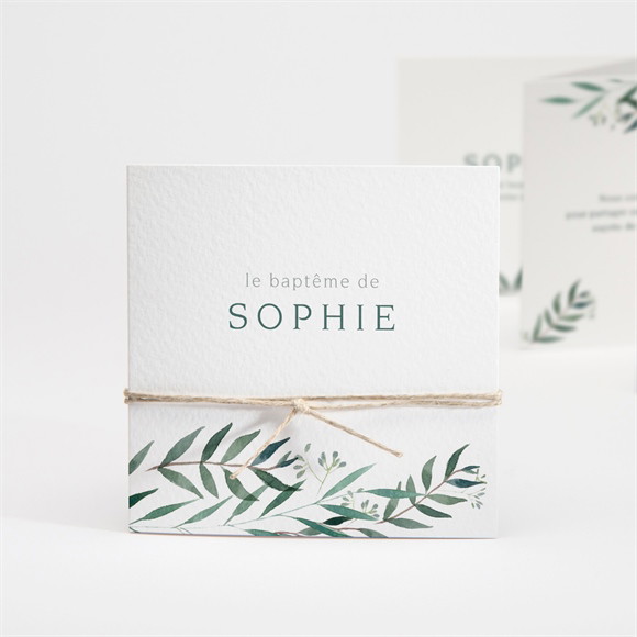Faire-part de baptême Jolie annonce accordéon réf.N831113