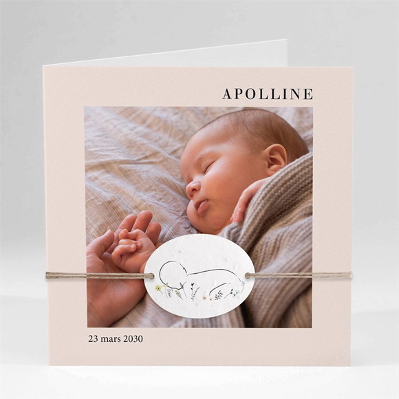 Faire-part naissance Tendre Cadre ensemencé réf.N451363