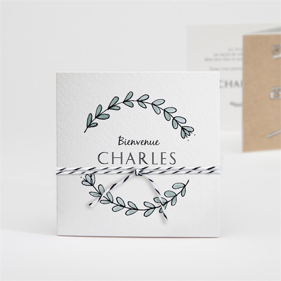 Faire-part naissance Petite Merveille accordéon réf.N831136