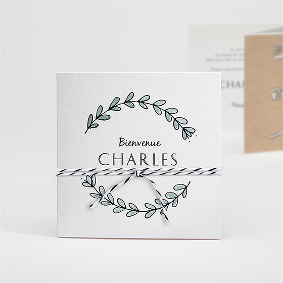 Faire-part naissance petite merveille accordéon