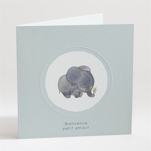 Faire-part naissance Chouchou gaufrage réf.N451376