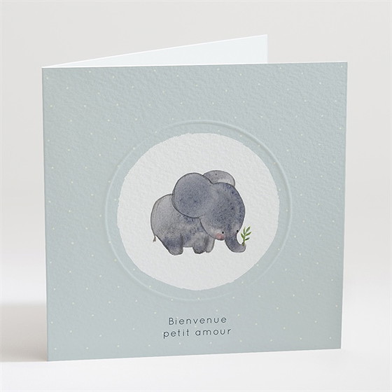 Faire-part naissance chouchou gaufrage