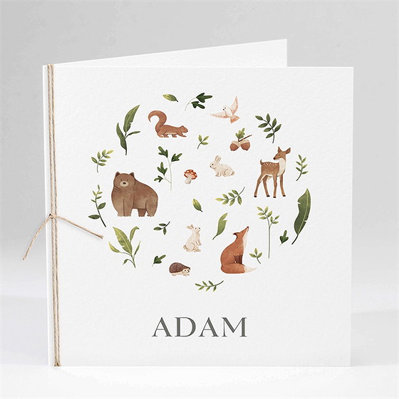 Faire-part naissance compères carré plié