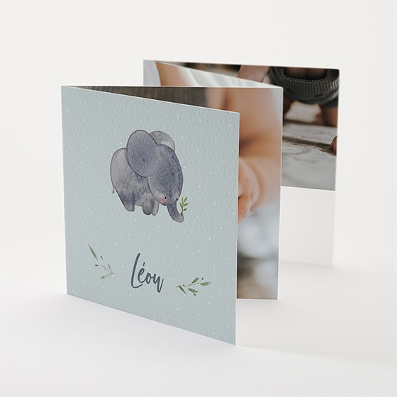 Faire-part naissance chouchou accordéon