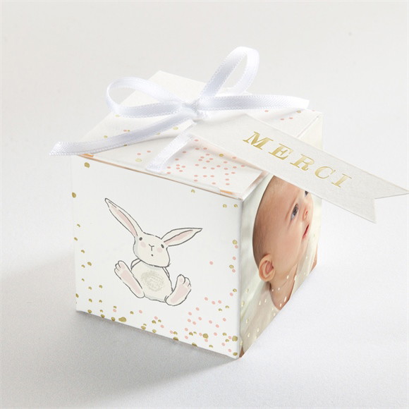 Boîte de dragées baptême Petit Lapin Baptême Dorure réf.N340558