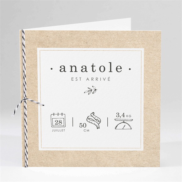 Faire-part naissance Signes de Douceur carré plié réf.N451384