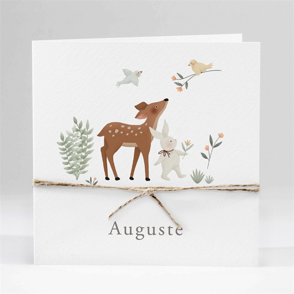 Faire-part naissance Petits Compères plié réf.N451394